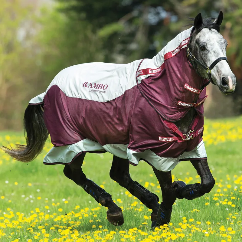Rambo Summer Series Turnout Rug - Grey/Burgundy with Black-1